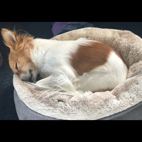 Meet your Posher, Frances - Picture 1 of 1